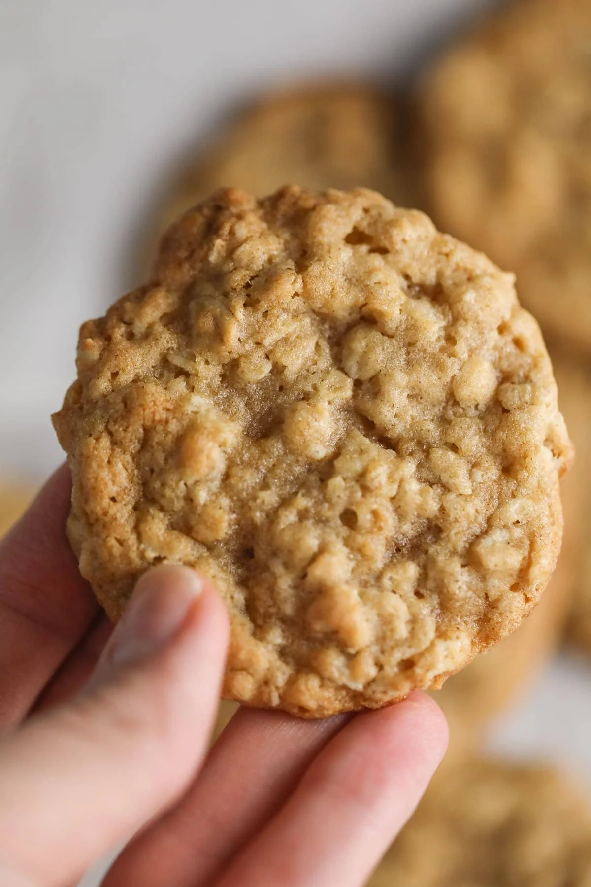 Best Oatmeal Cookie Recipe Without Raisins