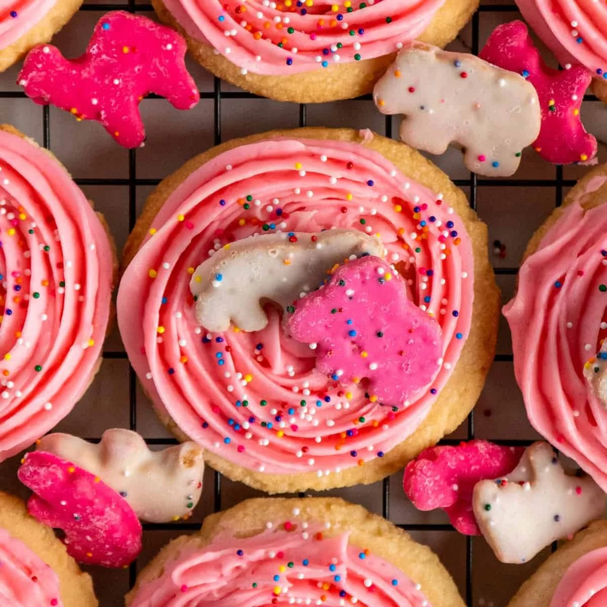 Circus Critter Cookie Delights