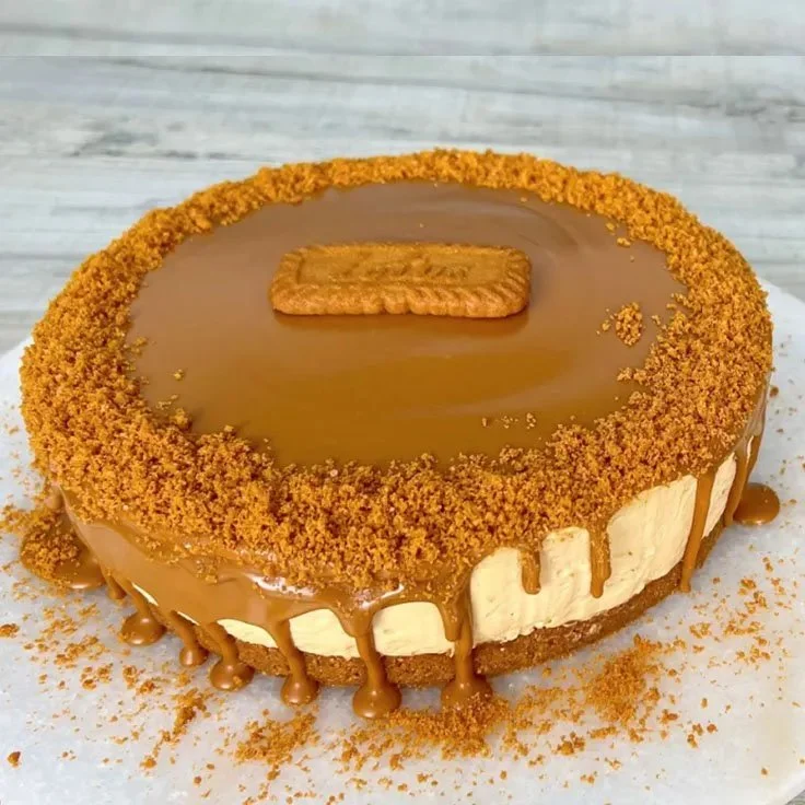 Creamy Biscoff No-Bake Cheesecake