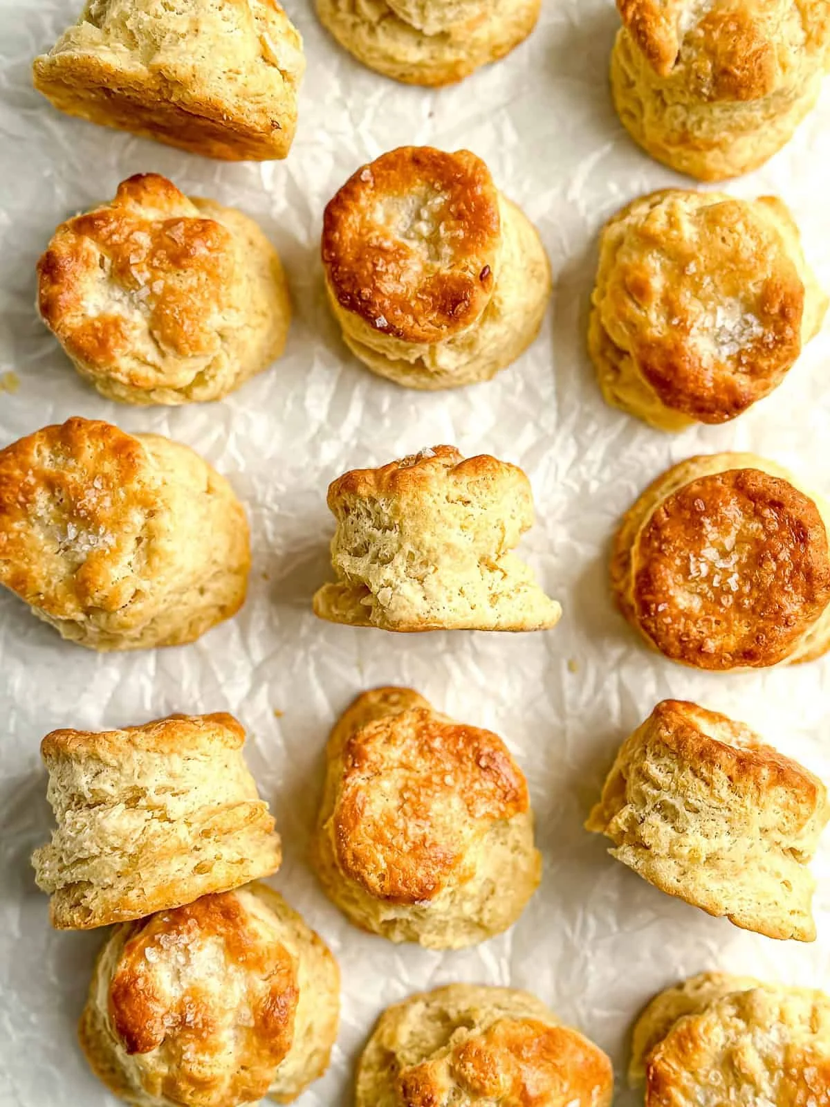 Crispy Sour Cream Biscuits