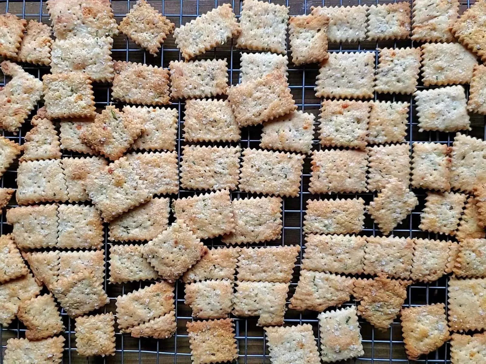 Sourdough Discard Crackers with Cheese