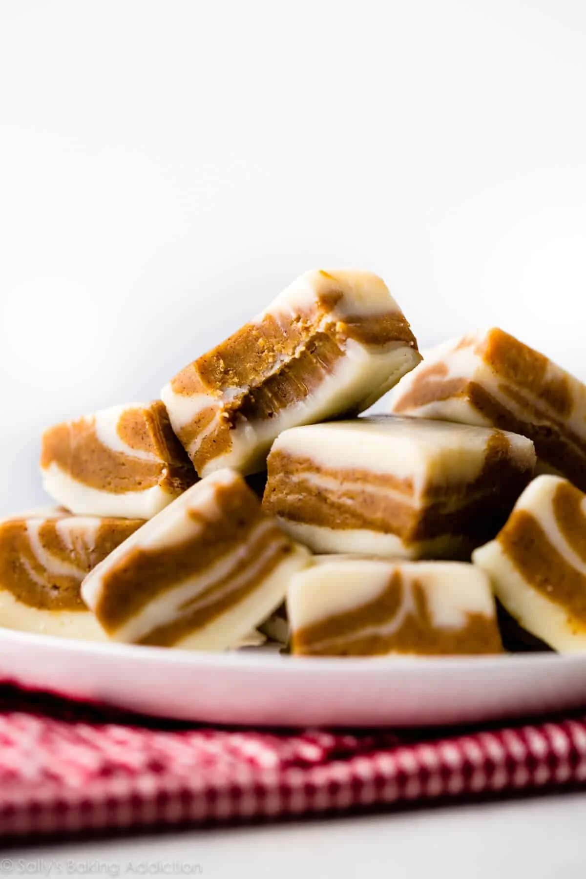 Spiced Gingerbread Fudge Swirl